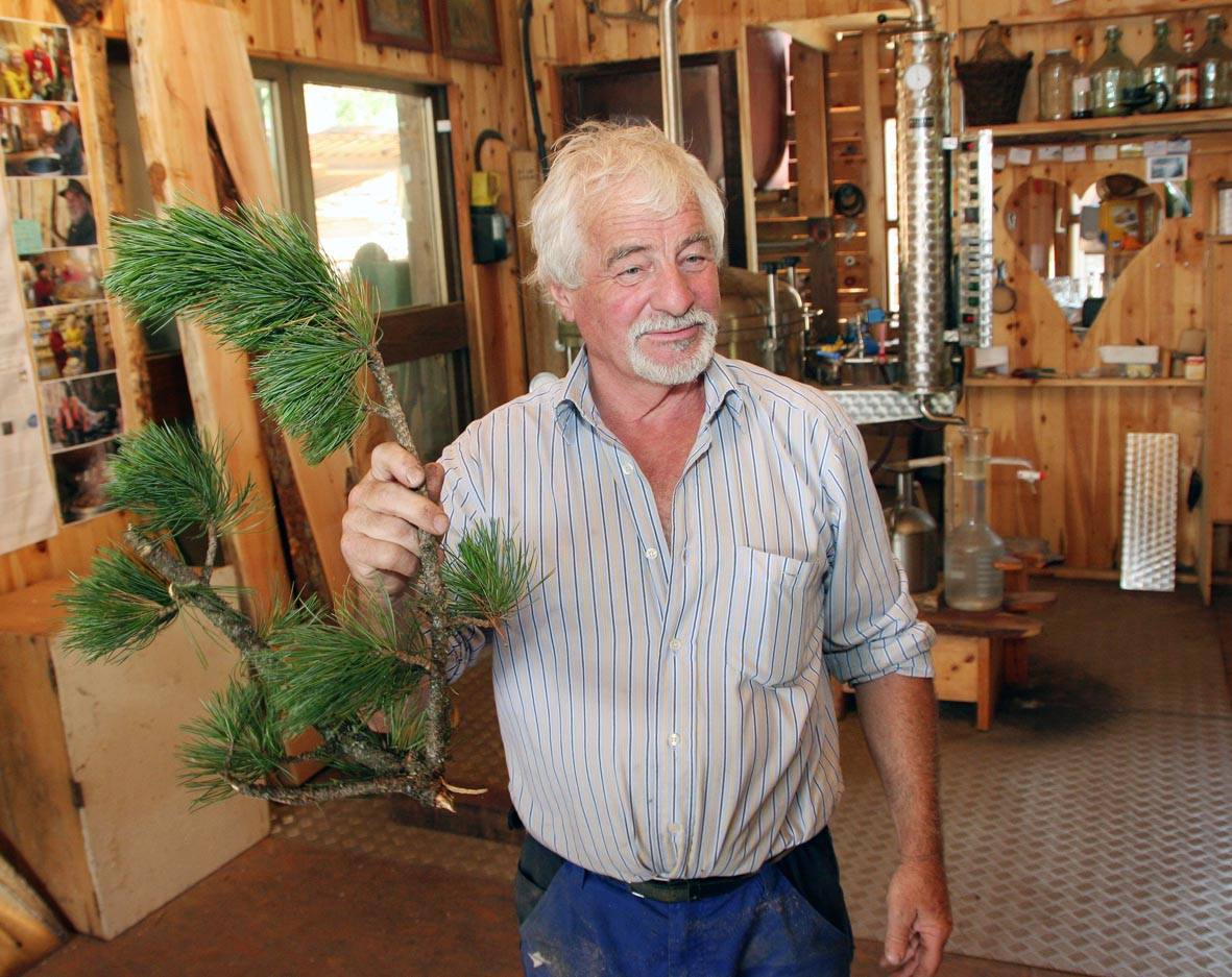 Sepp Reinstadler mit Zirbenzweig in der Werkstatt